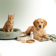 Pet Products Collection Banner
