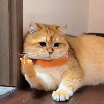 Peach elastic hand toy with splayed fingers, held by cat paw