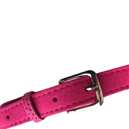 Close-up of red adjustable strap with metal buckle on dog harness
