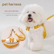 White dog wearing golden Y-style pet harness with leash attached