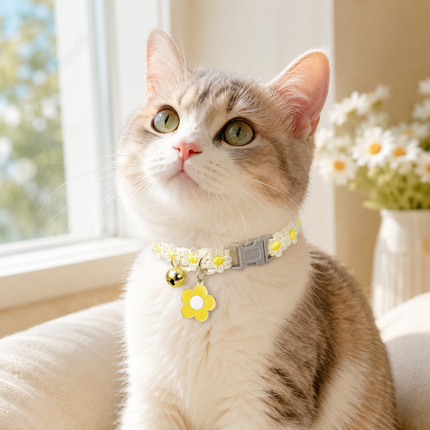 Cat wearing adjustable white floral lace pet collar with yellow daisies and bell charm
